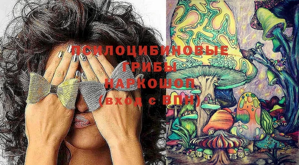 скорость Богородицк